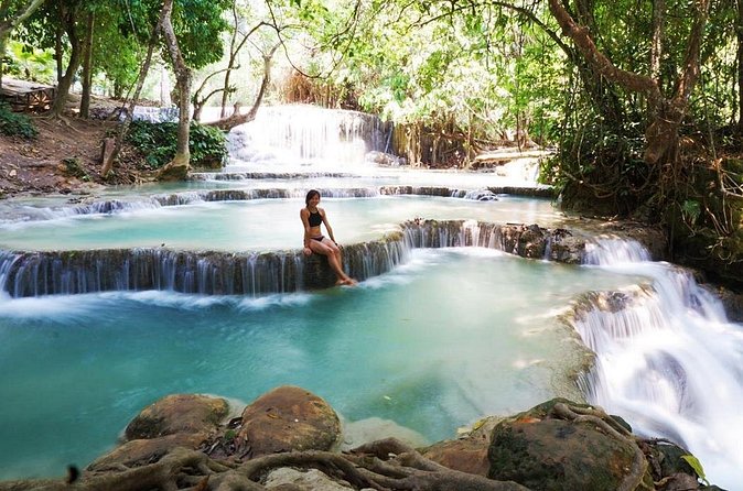 Day Trek to Kuangsi Waterfall and Bear Sanctuary - Luang Prabang full day tour - Visiting the Bear Rescue Center
