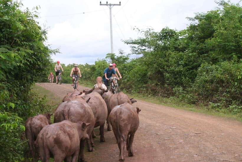 From Luang Prabang: Guided Mountain Bike Tour with Lunch - Leaving Luang Prabang for Ban Xang Hai