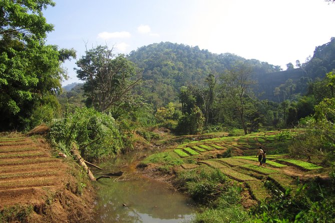 Full Day Crossing the Bolaven Plateau - Village Visits on the Bolaven Plateau