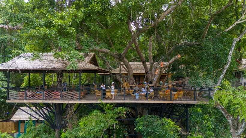 Kuang Si Waterfall, Tree Top Cafe, Ziplining - The five ziplines, from 135 to 352 meters