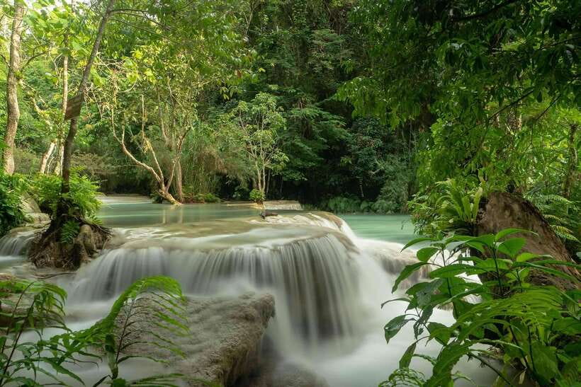 Kuang Si Waterfall, Tree Top Cafe, Ziplining - The 30-minute drive from Luang Prabang