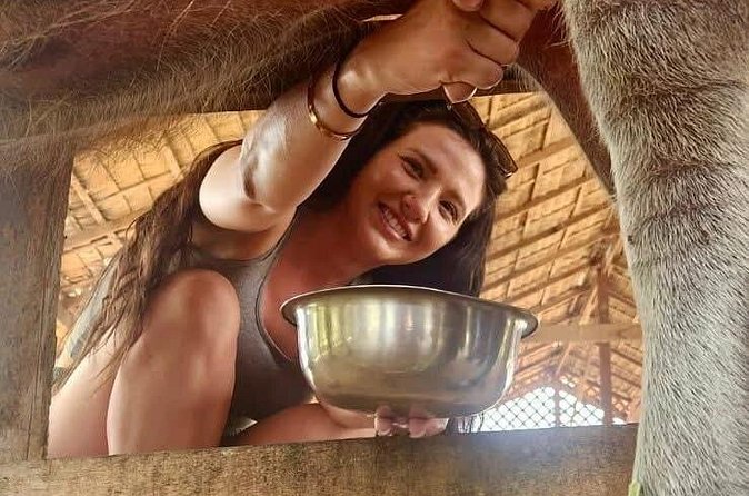 Laos Buffalo Dairy Tours Interact, Learn and Taste Fresh Flavors - Choosing between the farm tour options