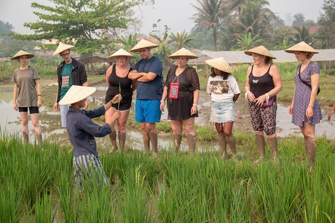 Living Land Rice Farming Experience - Who will enjoy Living Land Farm most