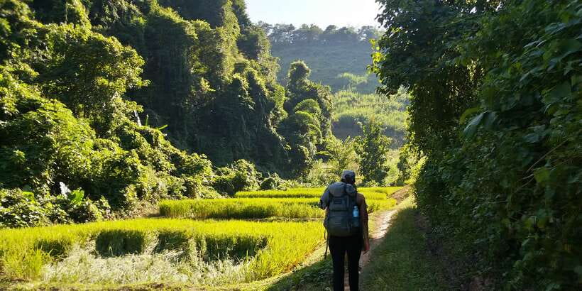 Luang Prabang: 3-Day Cultural Remote Trek With Homestay - Why the guide can make or break the experience