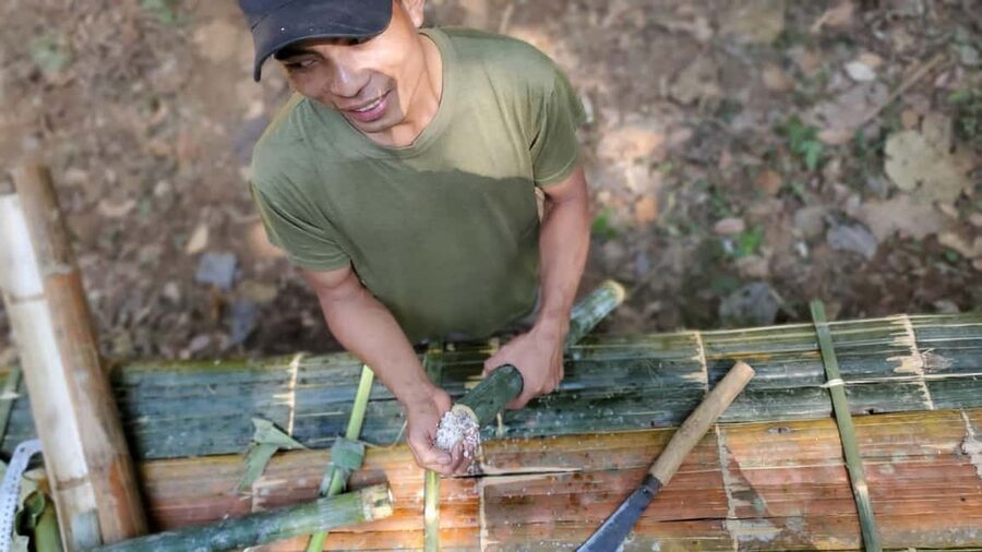 Luang Prabang: Bamboo Forest Cooking-class & Farm Visit - Cooking rice, meat, or fish over natural heat
