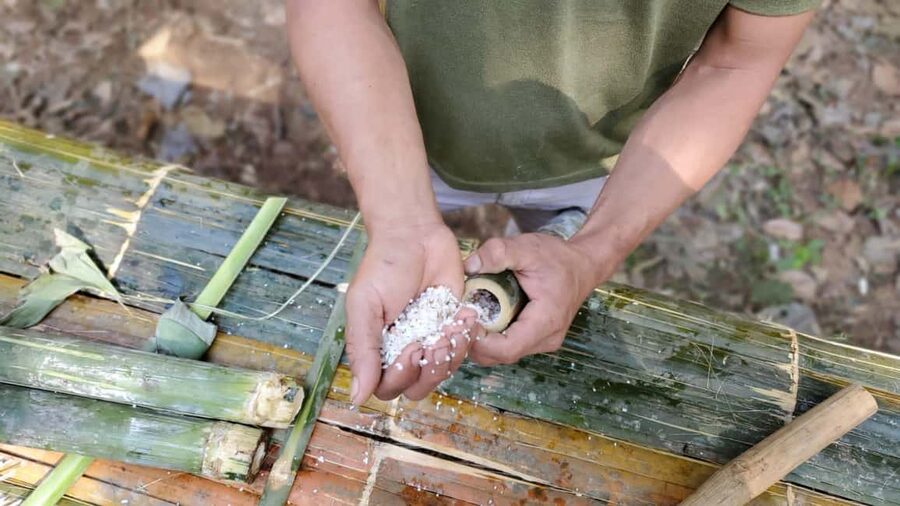 Luang Prabang: Bamboo Forest Cooking-class & Farm Visit - What the $100 price really covers