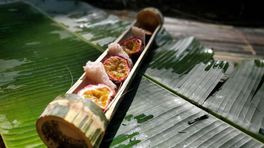 Luang Prabang: Bamboo Forest Cooking-class & Farm Visit - Clothing, insects, and the practical side of the forest