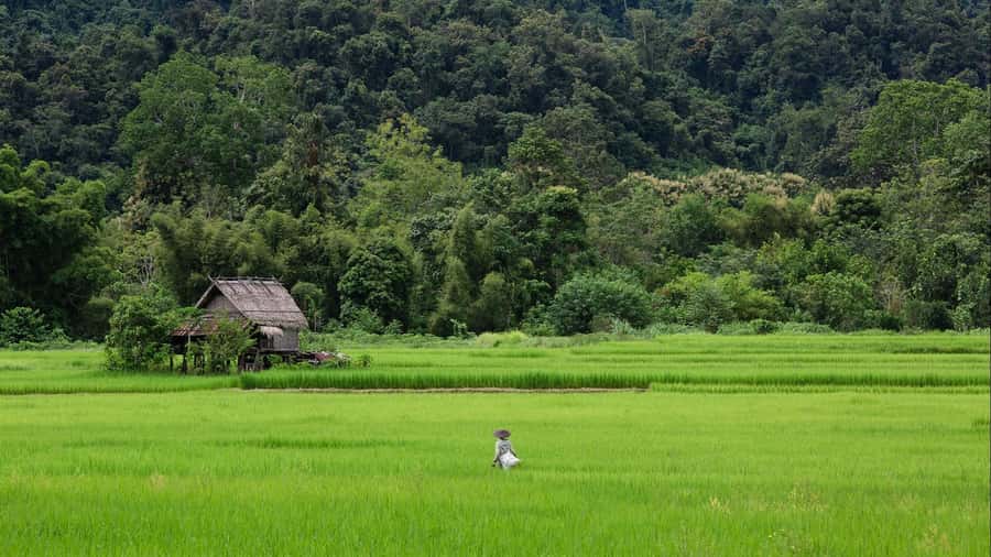 Luang Prabang: Countryside Mountain Bike Tour with Lunch - Key points to know before booking