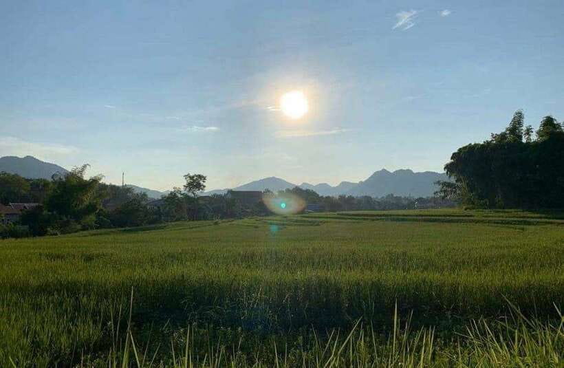 Luang Prabang: Evening Cooking Class & Local Baci Ceremony - Why this Luang Prabang evening feels different