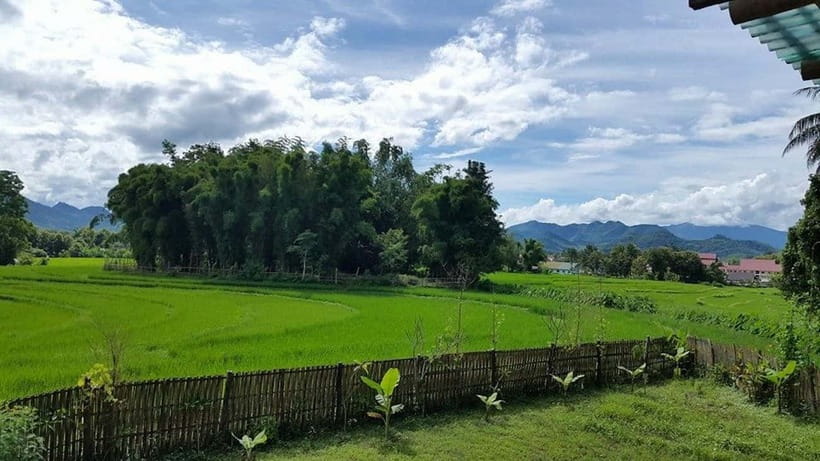 Luang Prabang: Evening Cooking Class & Local Baci Ceremony - Who should book this evening