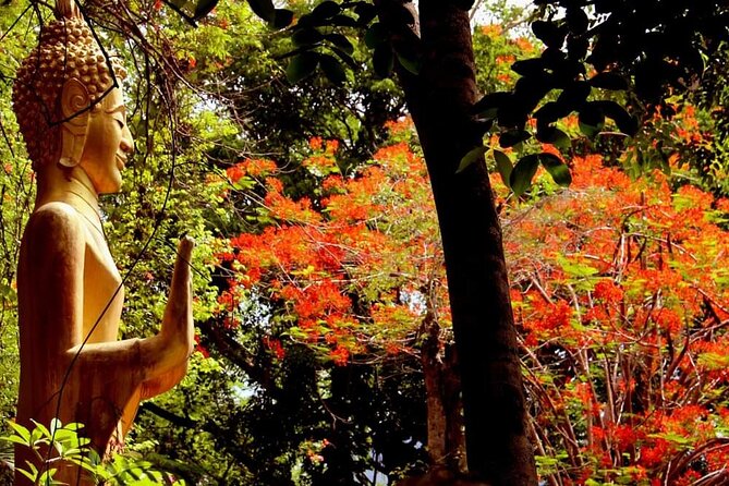 Luang Prabang Foodie Walking Tour and Monk Blessing - What you eat on the morning tour