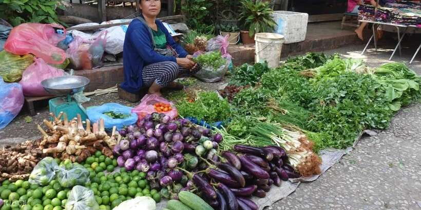 Luang Prabang: Foodie Walking Tour & Monk Blessing - The guides are a major part of the value