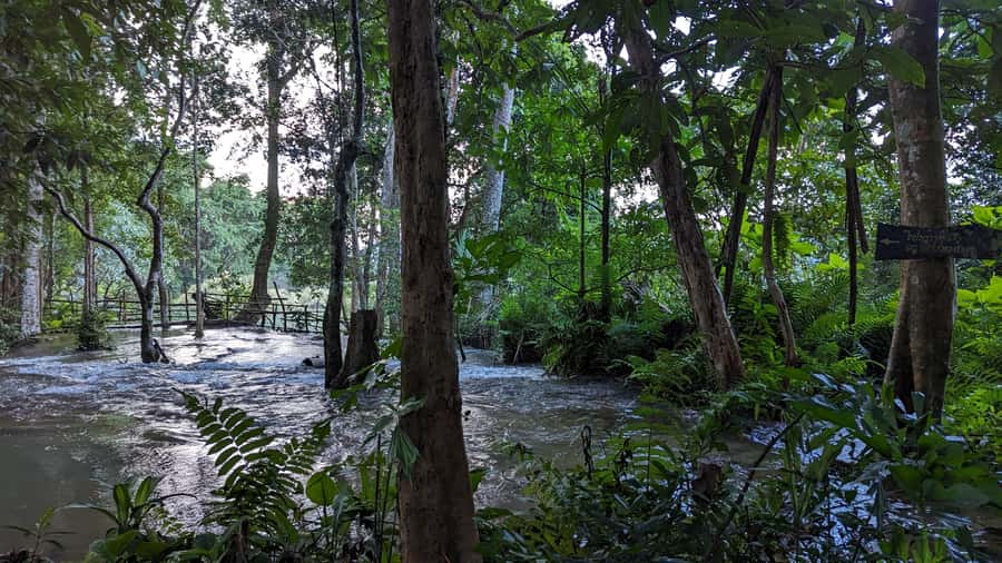 Luang Prabang: Full Day Trek to Kuang Si Waterfall & Village - Why walk to Kuang Si instead of taking the road?