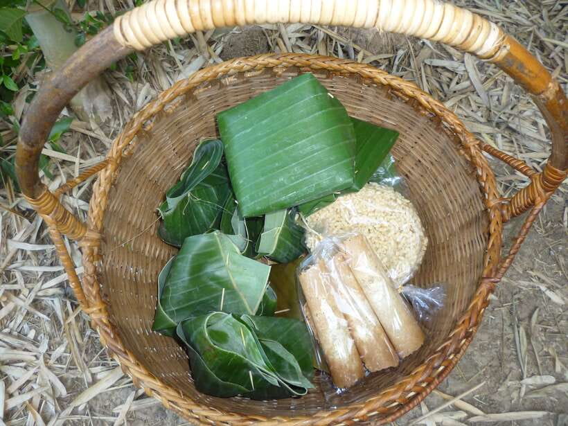 Luang Prabang: Hiking Off the Beaten Track with Picnic Lunch - The forest descent to Ban Long Lao
