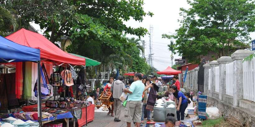 Luang Prabang: Local Village & Kuang Si Falls Private Tour - What the private format changes
