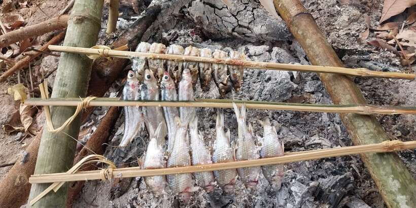 Luang Prabang: Mekong Fishing with a Local Fisherman & Lunch - Guides, language, and the feel of the day