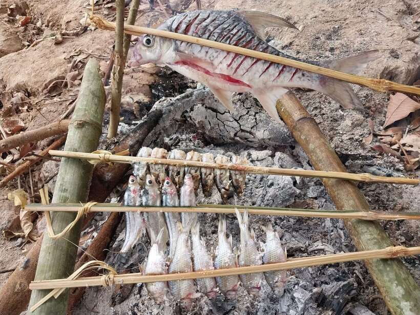 Luang Prabang: Mekong Fishing with a Local Fisherman & Lunch - Leaving Luang Prabang at 8:30 in the morning