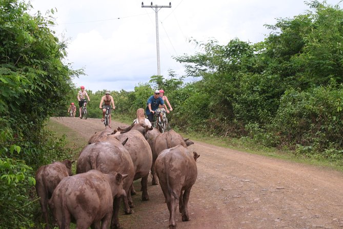 Luang Prabang Mountain Bike Cycling Tour - Lunch, a shower, and a useful reset