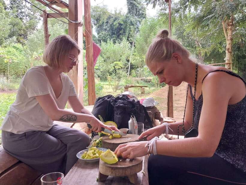 Luang Prabang: Organic Farm Experience & Hike to Kuang si - Key points to know before booking