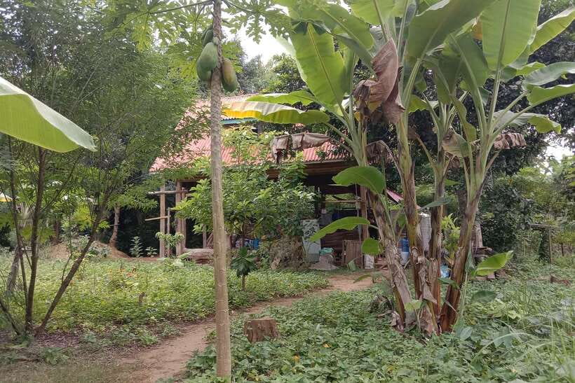 Luang Prabang: Organic Farm Experience & Hike to Kuang si - Why this Luang Prabang day feels different
