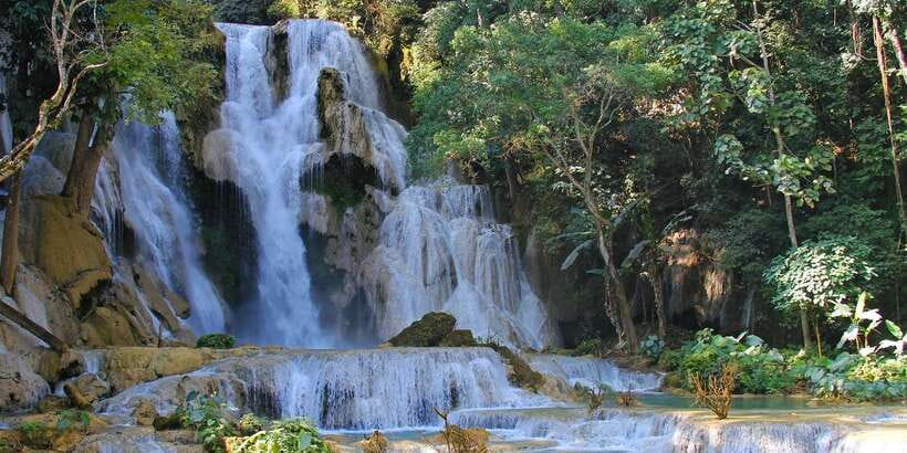 Luang Prabang: Organic Farm Experience & Hike to Kuang si - Meeting bears saved from the trade