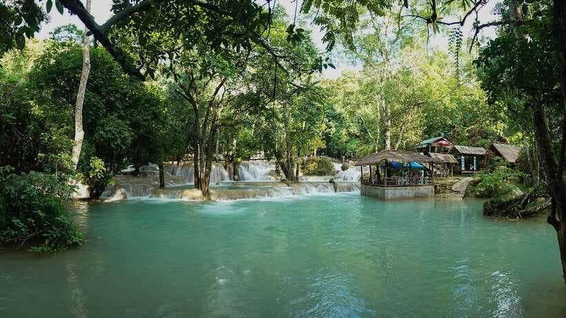 Luang Prabang Thin Pha Trail & Tad Sae Falls Trek - Walking through paddies and the middle canopy