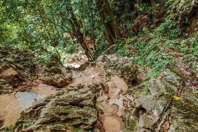 One Day Guided Tour: Kayaking, Zipline & Tubing In The Cave from Vang Vieng - A full day of Vang Vieng adventure
