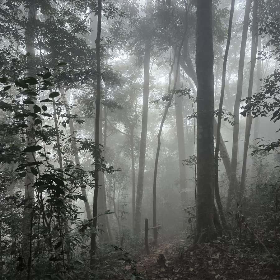 Overnight Camping At nong khiaw view point, 360 view - The 5:30 a.m. sunrise and sea of fog