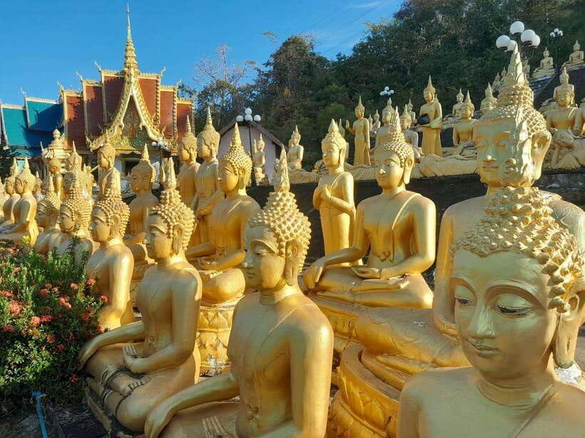 Pakse: Mystic Falls & Timeless Temples of Southern Laos Tour - Guide, driver, and road comfort
