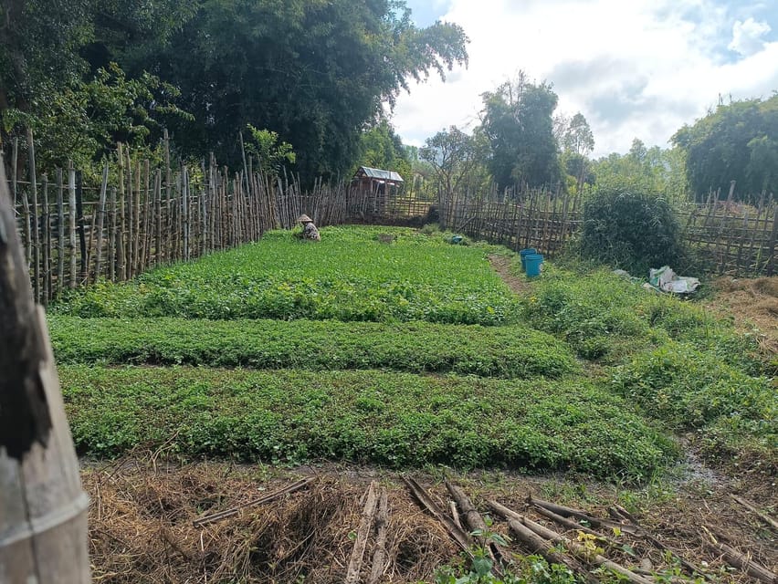 Plain of jars share group tour - Site 1 and the 334 stone jars
