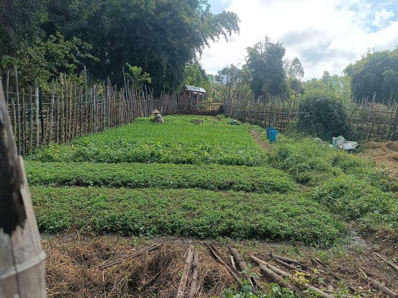 Plain of jars share group tour - What the $99 price really covers
