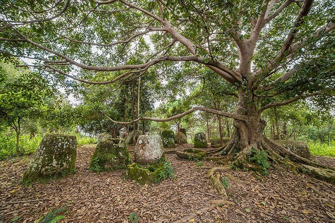 Plain of jars tour with local guide - Muang Khoun, Wat Phiawat, and That Foun