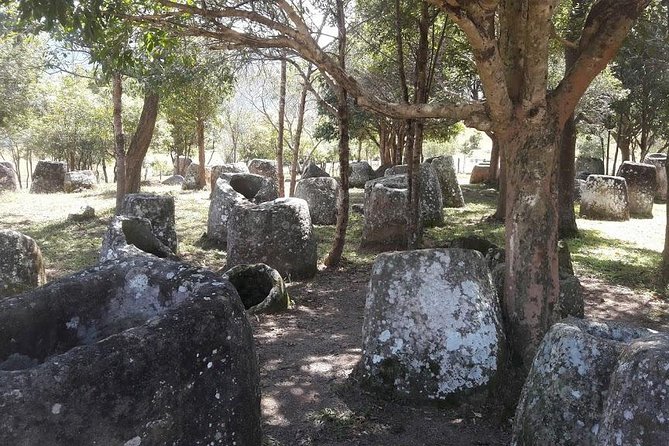 Plain of jars tour with local guide - How the private format affects the experience