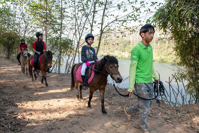 Pony Riding in Luang Prabang - Morning and Afternoon Timing