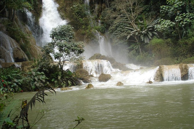 Private Tour Full-day Morning Market, Villages and Scenic Kuang Si Waterfall - A useful stop at the Tat Kuang Si Bear Sanctuary