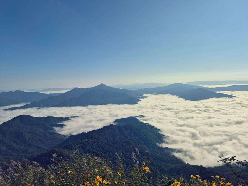 Transfer : wonder full Sunrise and landscape at Phu Chifa - Timing the return to Chiang Rai