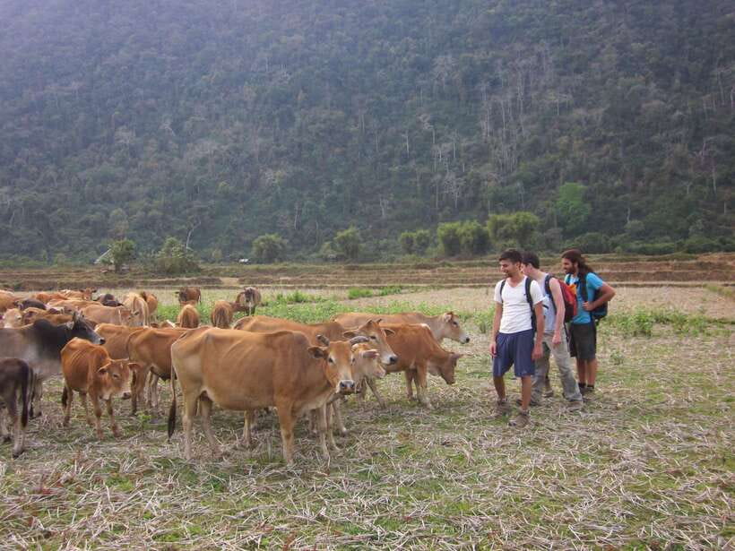 Vang Vieng: Jungle & Caves Full-Day Private Trekking Tour - Ridge views, with a realistic expectation