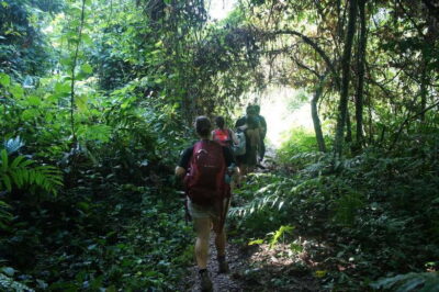 Jungle & Caves Full-Day Private Trekking Tour