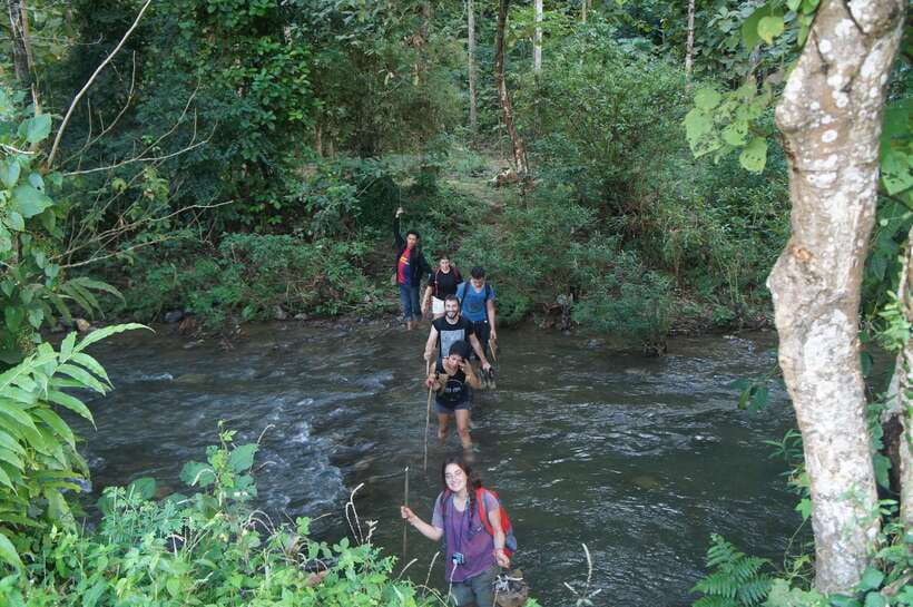 Vang Vieng: Jungle & Caves Full-Day Private Trekking Tour - Tham Hok Cave and what you will actually find