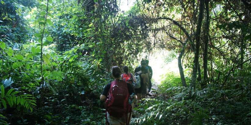 Vang Vieng: Jungle & Caves Full-Day Private Trekking Tour - The far-side descent and the route question